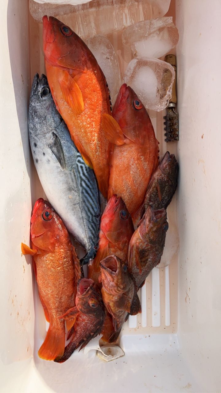 ハマチョウさんの釣果 2枚目の画像