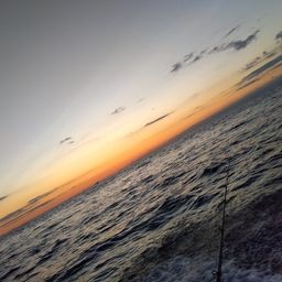 チカメキントキ