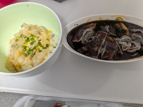 ミズイカの釣果