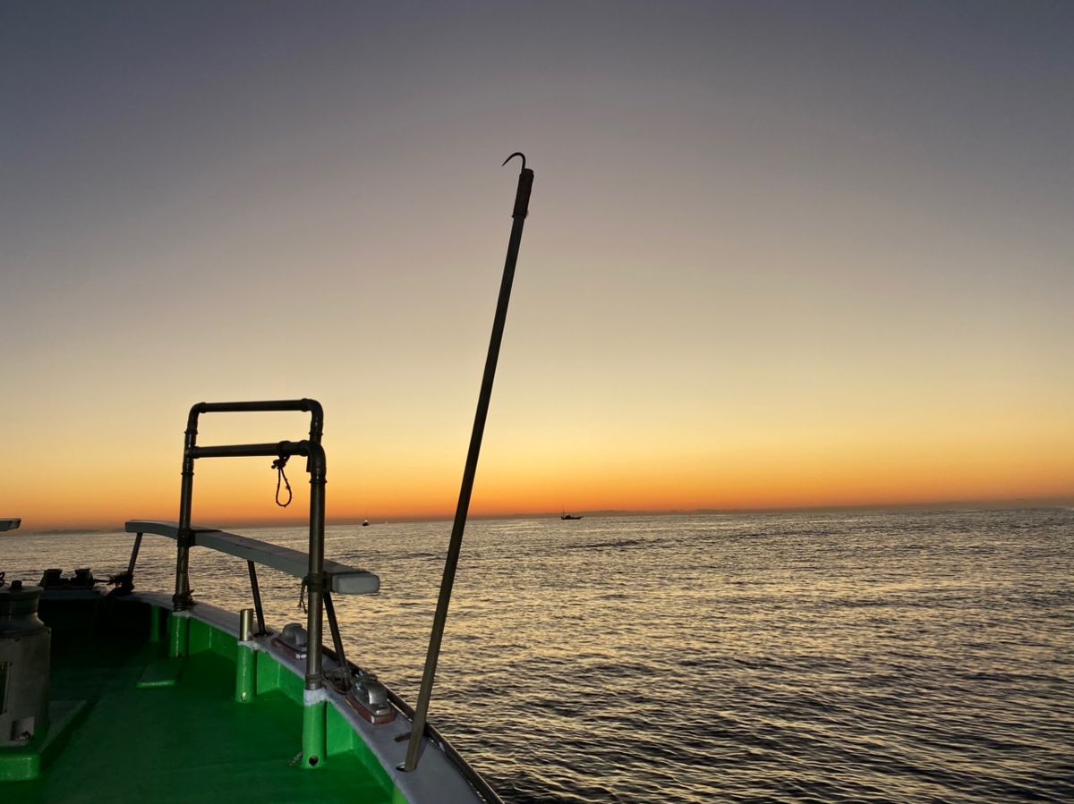 湘南のかつさんの釣果 2枚目の画像