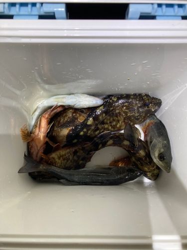 新舞子マリンパーク