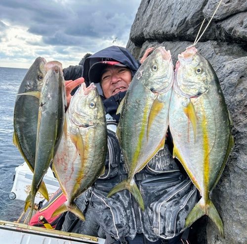 シマアジの釣果