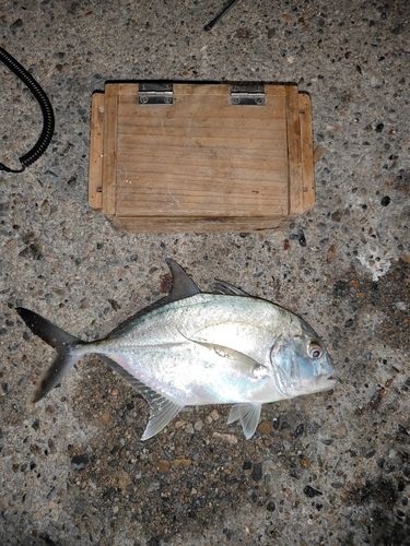 碧南海釣り公園