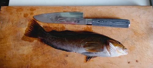 三陸海岸（青森）