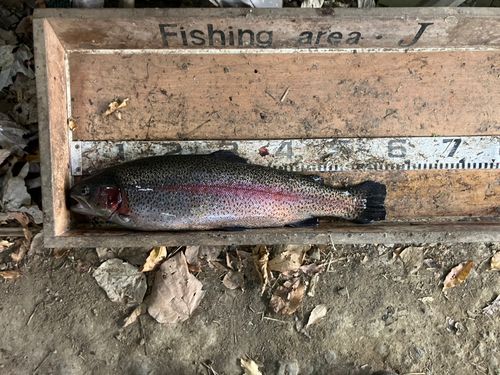 フィッシングエリアJ