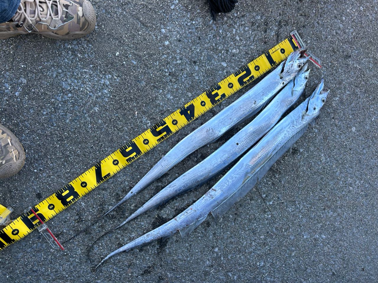 MajorCraft 「三代目」クロステージ ショアジギング CRX-902LSJの最