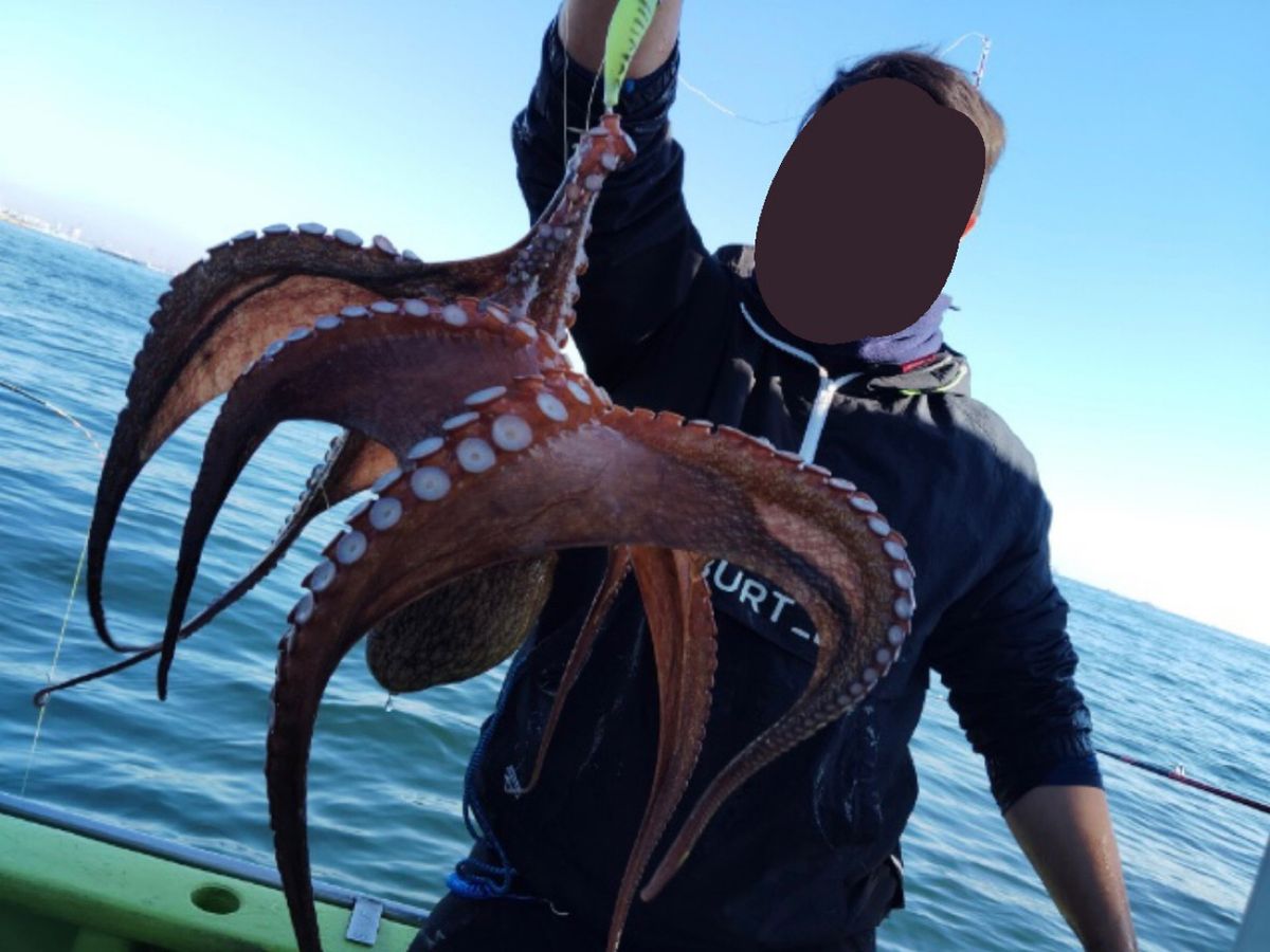 まるもさんの釣果 2枚目の画像