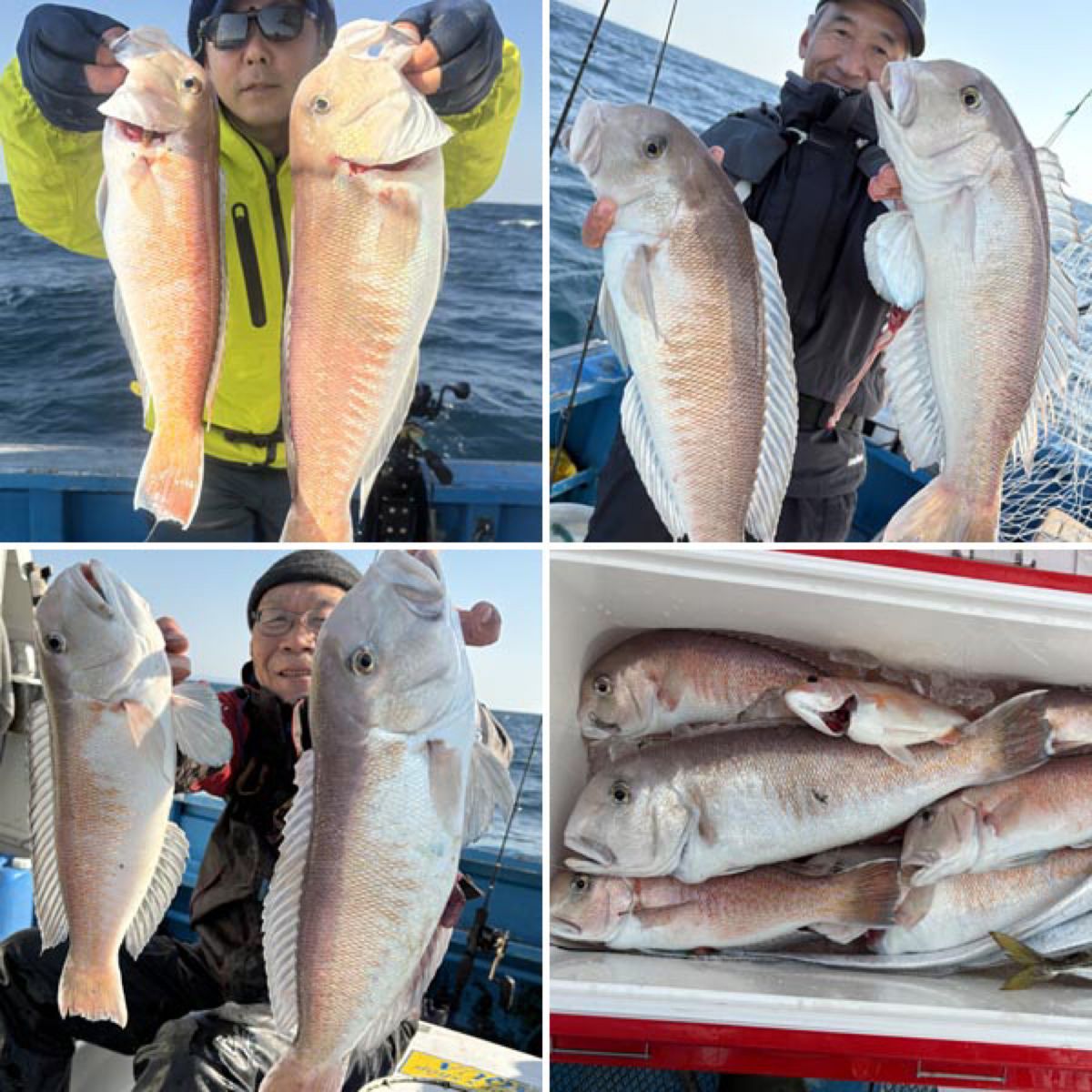 哲遊丸さんの釣果 1枚目の画像