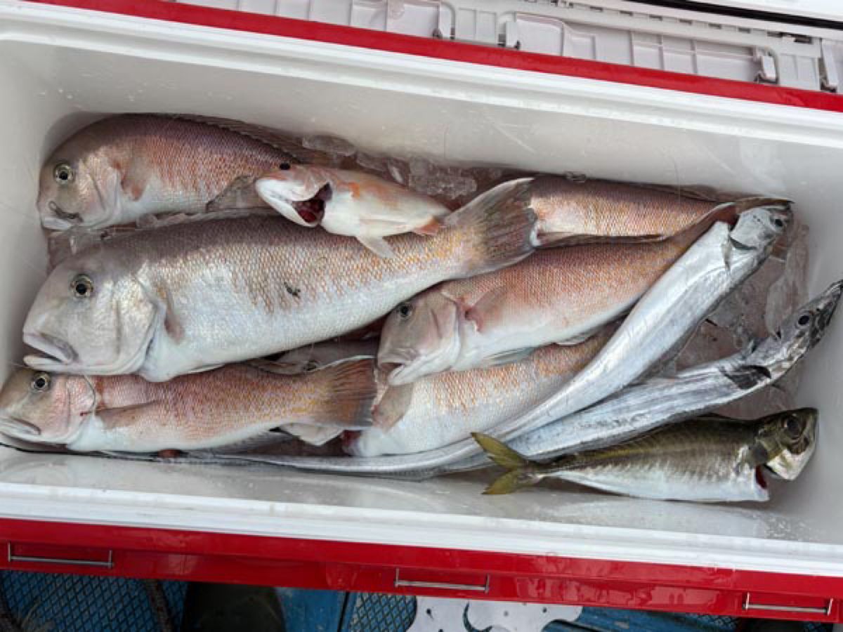 哲遊丸さんの釣果 3枚目の画像