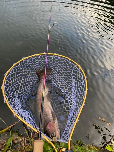 上浜つり堀センター