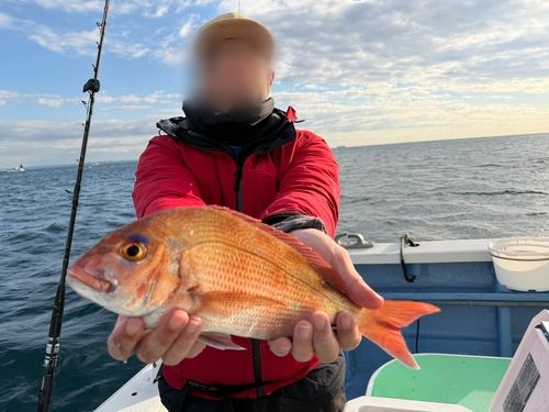 ハナダイの釣果