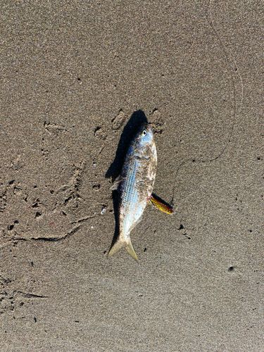 滝浜エメラルドビーチ