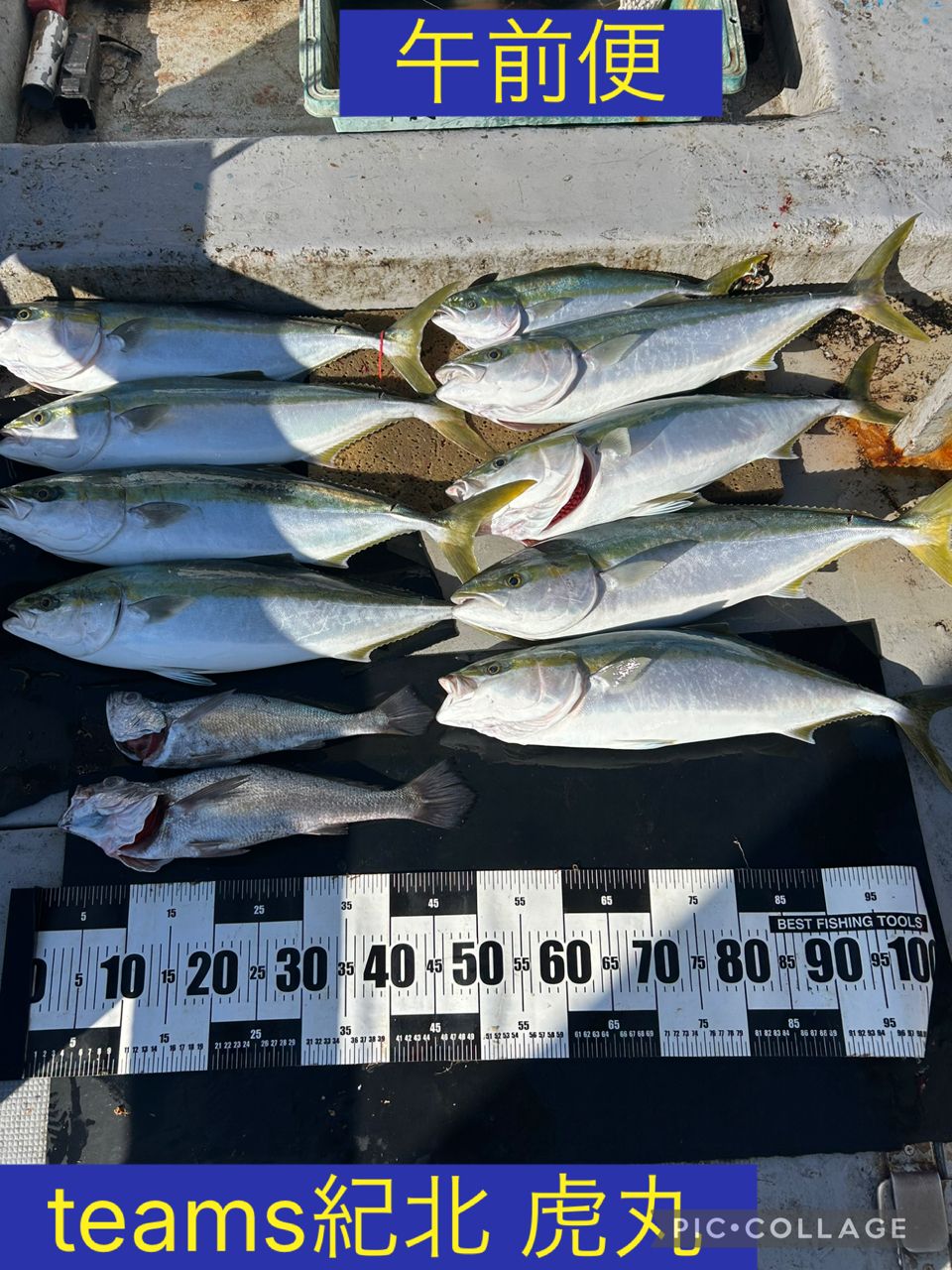 釣り船 虎丸さんの釣果 1枚目の画像