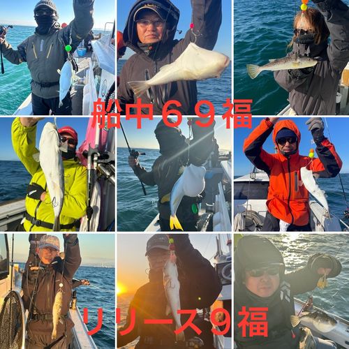 ショウサイフグの釣果