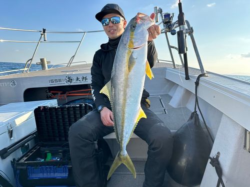 ヒラマサの釣果