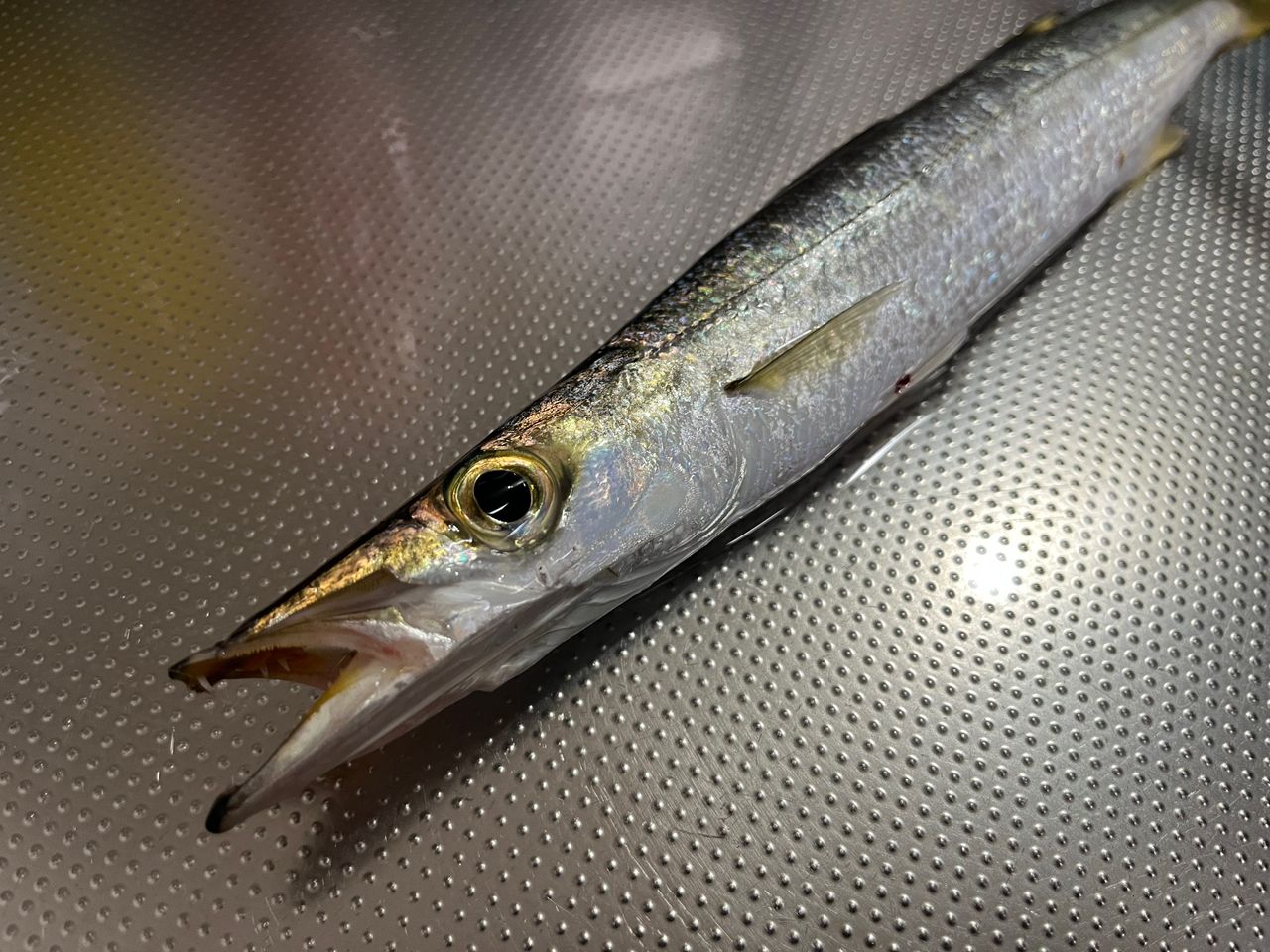 SHIMANO 22コルトスナイパーSS LSJ S96MLの最安値・インプレ・釣果