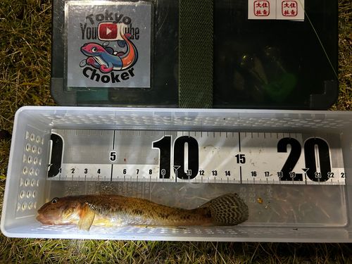 豊洲ぐるり公園