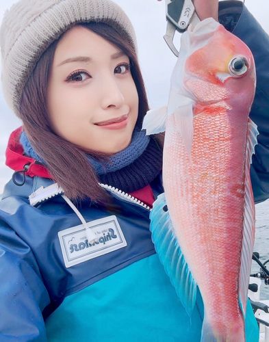 アカアマダイの釣果