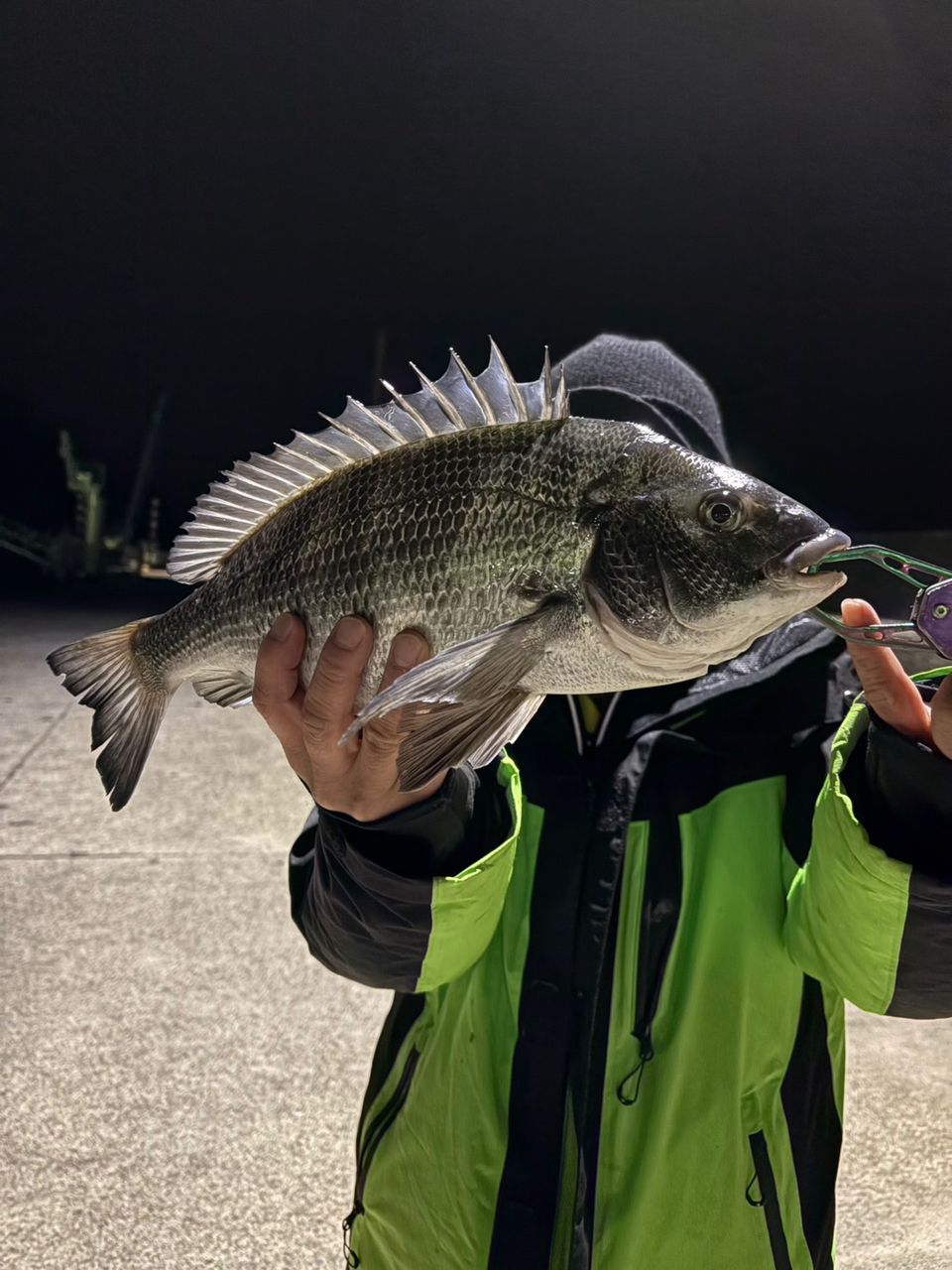 SHIMANO 21鱗海スペシャル 0-530の最安値・インプレ・釣果 | 本音の