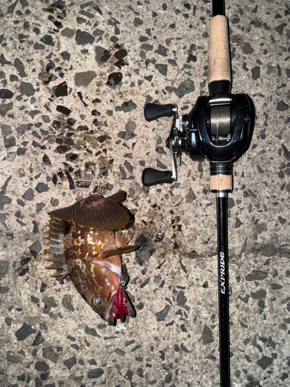 SHIMANO 17エクスプライド 1610M-2の最安値・インプレ・釣果 | 本音の