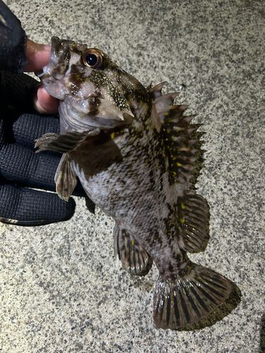 三陸海岸（岩手）