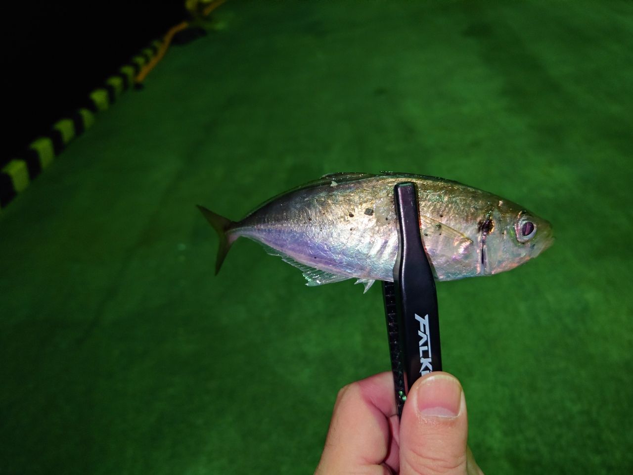 MajorCraft 23鯵道 1G-class AD1-S622Lの最安値・インプレ・釣果