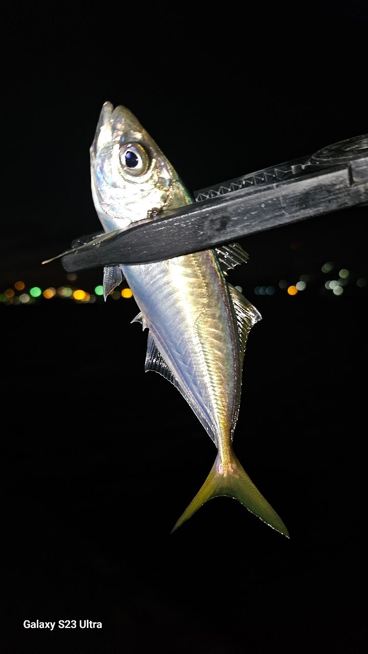 TENRYU ルナキア LK532S-ULSの最安値・インプレ・釣果 | 本音の口コミ