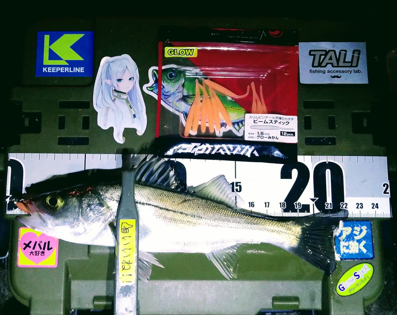 APIA グランデージ ライト 61の最安値・インプレ・釣果 | 本音の口コミ