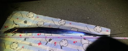 本牧海づり施設