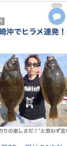 ヒラメの釣果