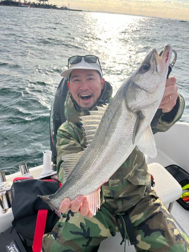 東京湾（アクアライン〜富津）