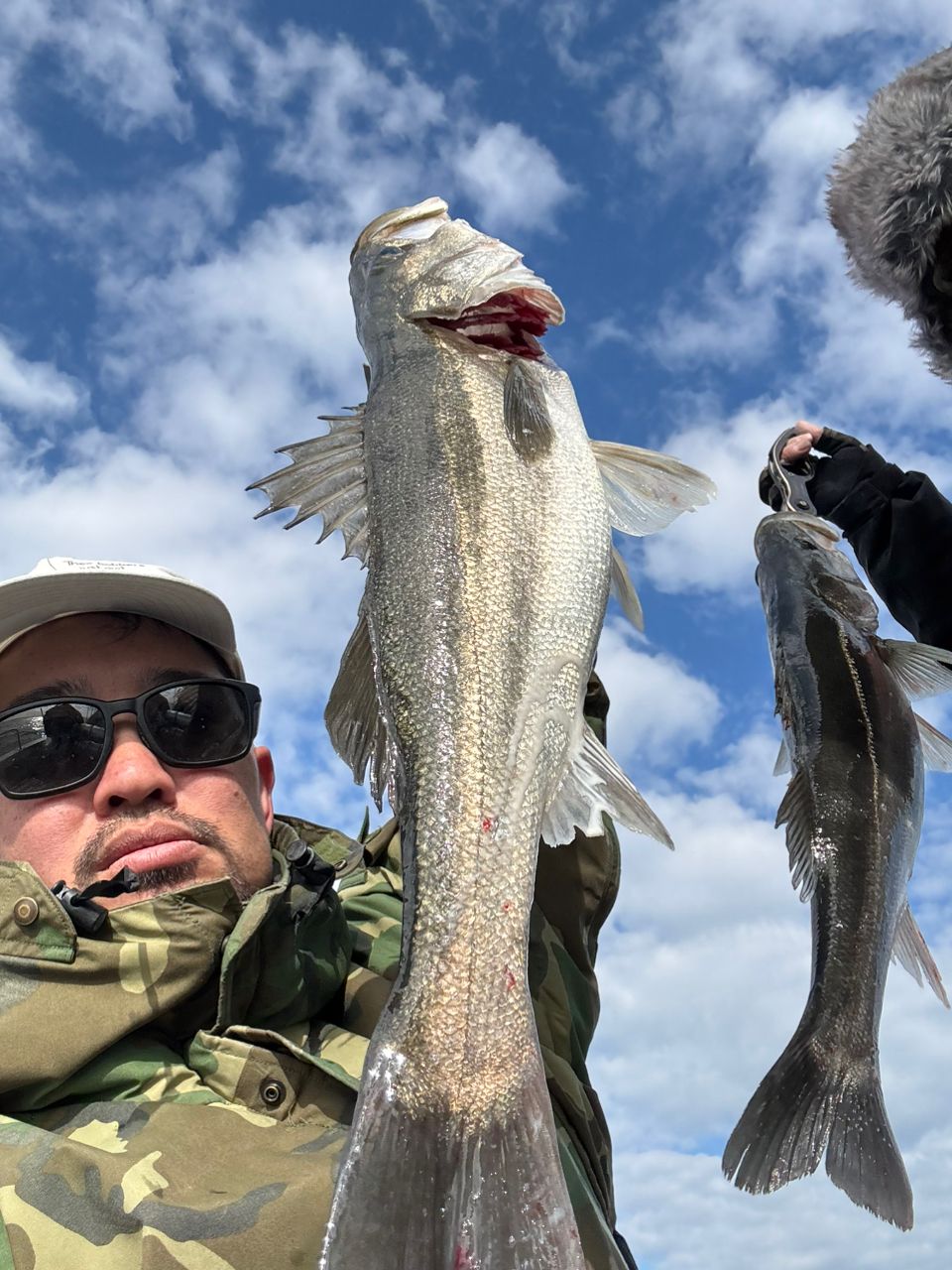 澤田きょうへいさんの釣果 2枚目の画像