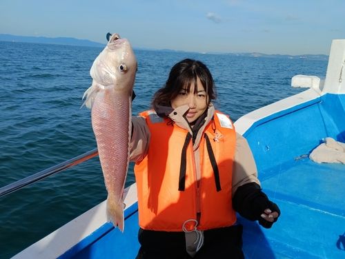 アマダイの釣果