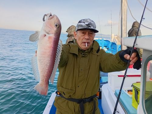 アマダイの釣果