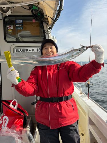 タチウオの釣果