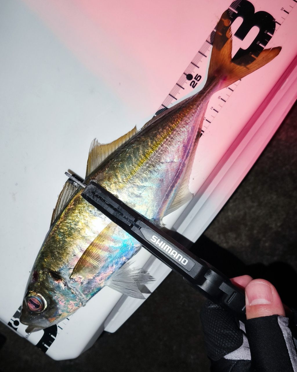 Gamakatsu ラグゼ 宵姫 華 弍 S62UL-solidの最安値・インプレ・釣果