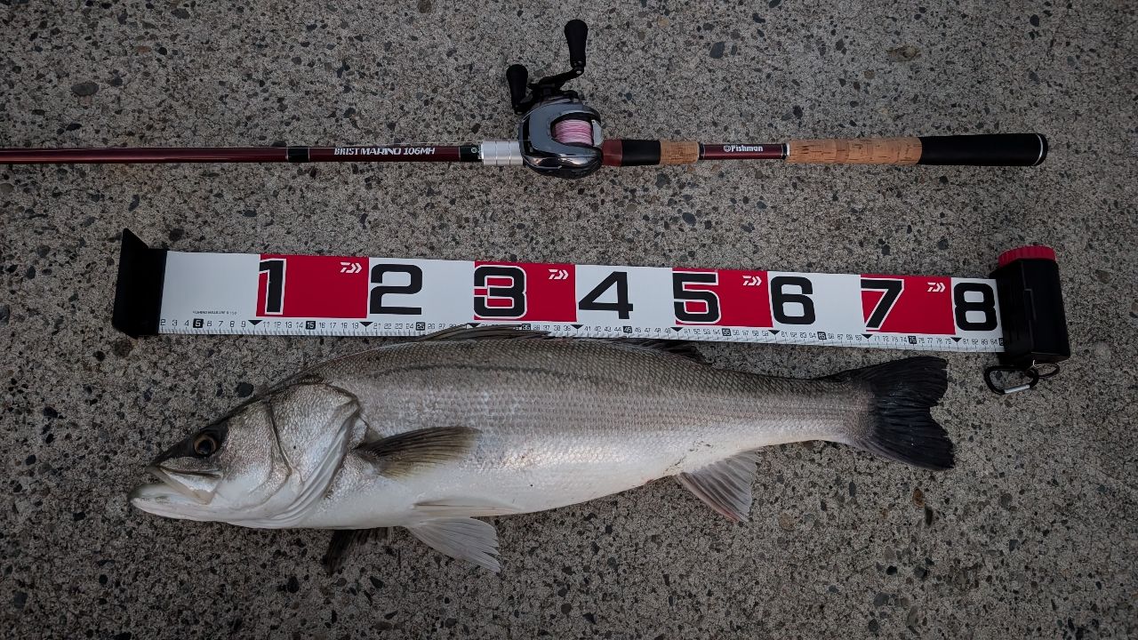 Fishman ブリスト MARINO10.6MHの最安値・インプレ・釣果 | 本音の