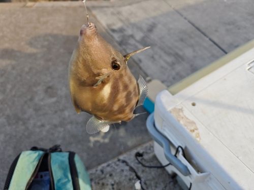 一万トン岸壁（姫路）