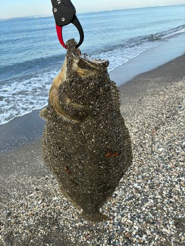 新舞子海岸（富津）