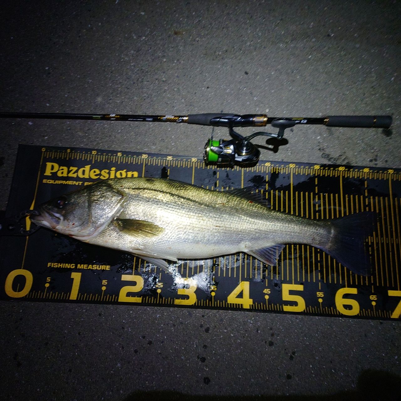 DAIWA 21モアザン ブランジーノ EX AGS 94LMLの最安値・インプレ・釣果