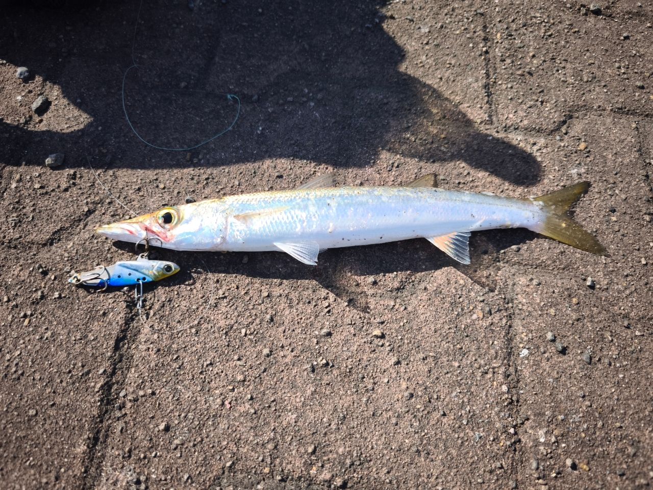 ダイワ 21シーバスハンター　X　96M ダイワ シーバスハンターX 96ML・Rをレビュー！クチコミ・評判をもとに