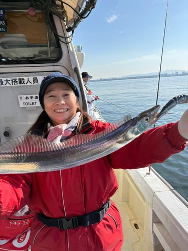 タチウオの釣果