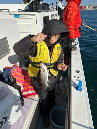 イシモチの釣果