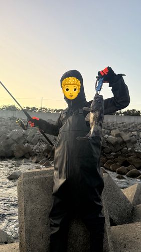 新舞子海岸（いわき）