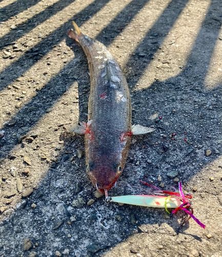 南港魚つり公園