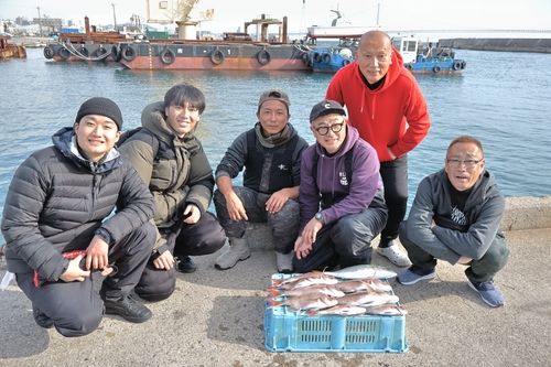 マダイの釣果