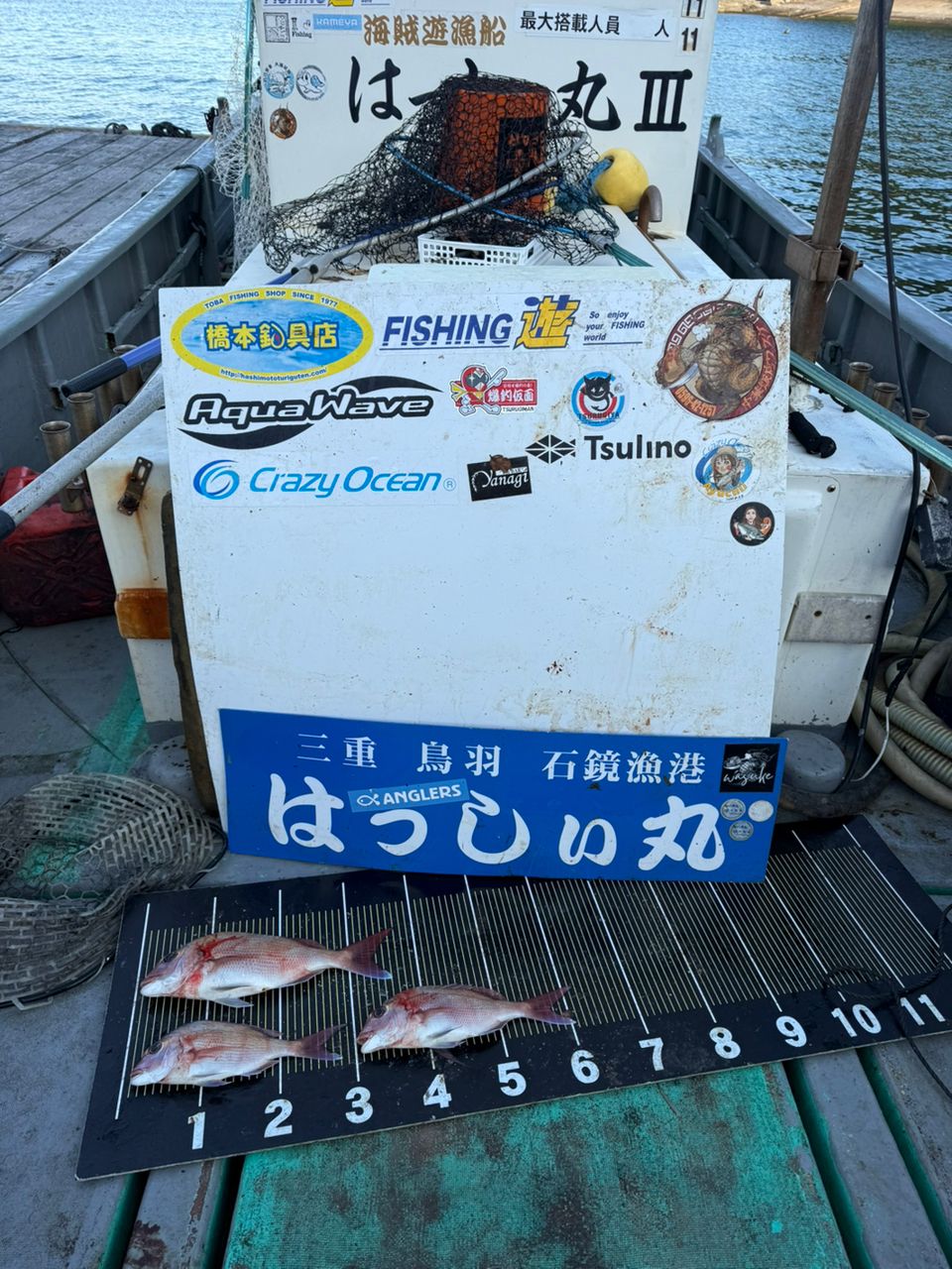 はっしぃ丸さんの釣果 1枚目の画像
