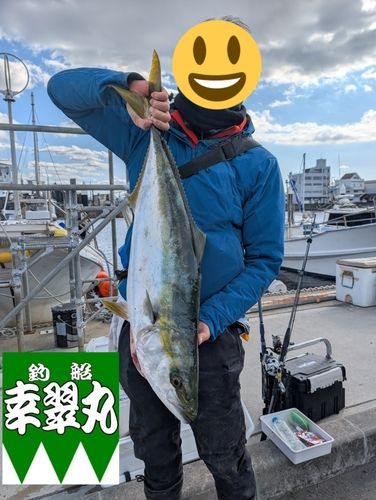 ブリの釣果