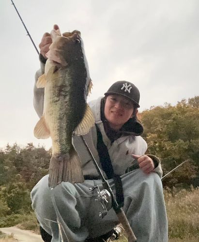 ブラックバスの釣果