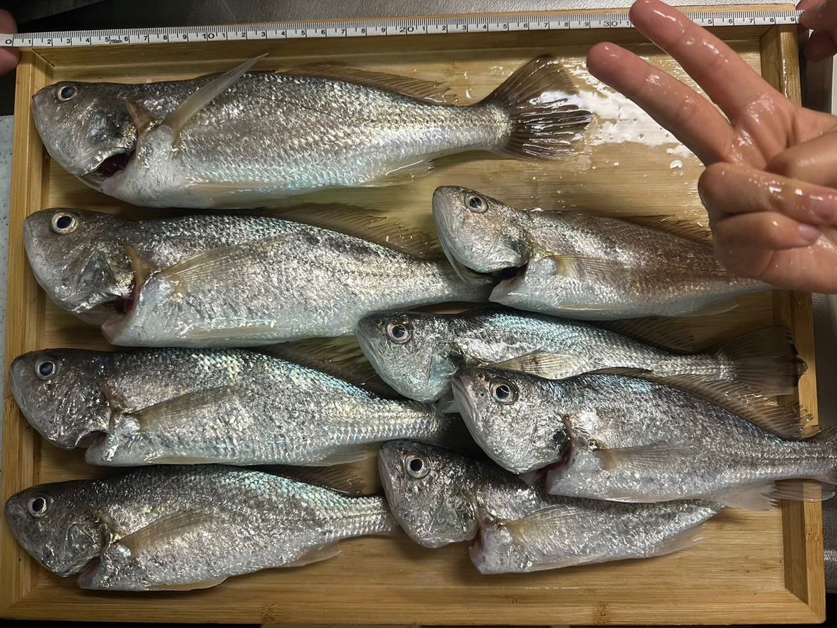 来夢🍋‍🟩さんの釣果 2枚目の画像